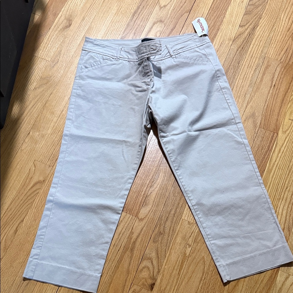The Limited Drew Fit Light beige Pants